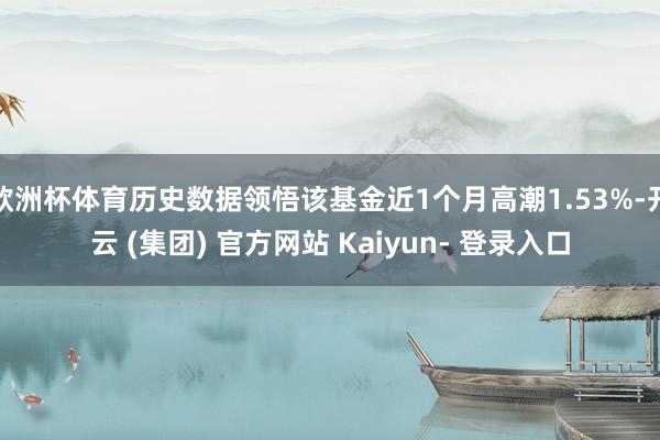 欧洲杯体育历史数据领悟该基金近1个月高潮1.53%-开云 (集团) 官方网站 Kaiyun- 登录入口