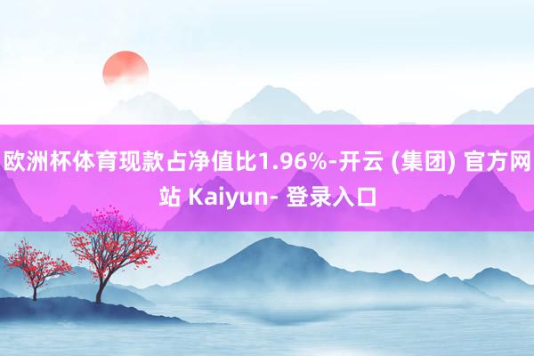 欧洲杯体育现款占净值比1.96%-开云 (集团) 官方网站 Kaiyun- 登录入口