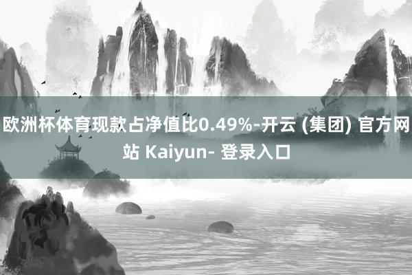 欧洲杯体育现款占净值比0.49%-开云 (集团) 官方网站 Kaiyun- 登录入口