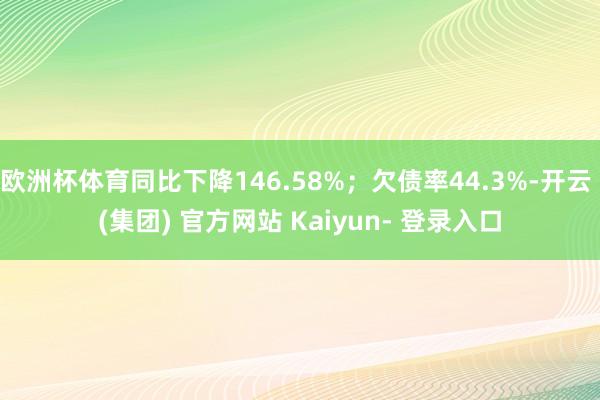 欧洲杯体育同比下降146.58%；欠债率44.3%-开云 (集团) 官方网站 Kaiyun- 登录入口